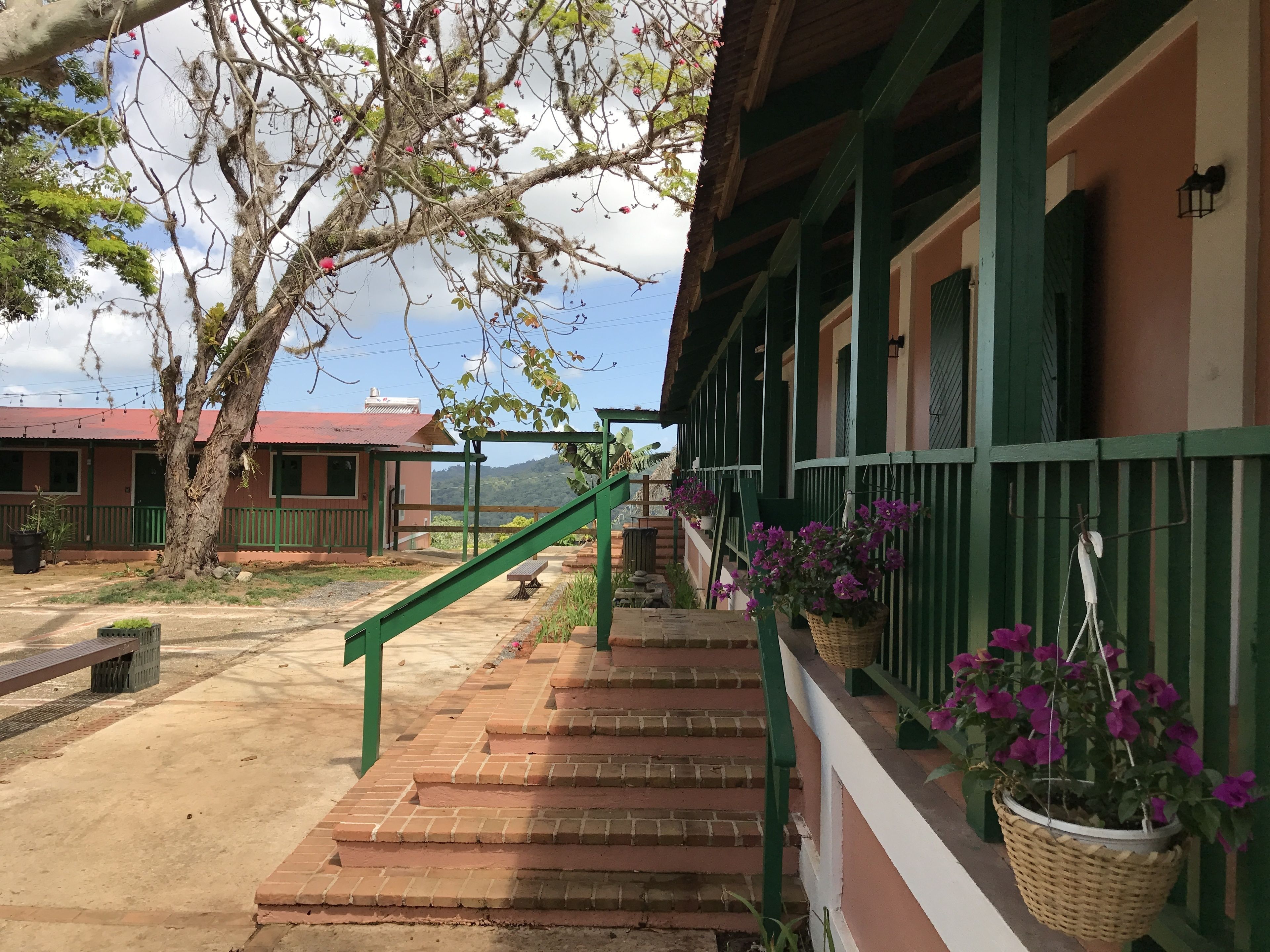 breakfast, lunch, dinner served; caribbean cuisine