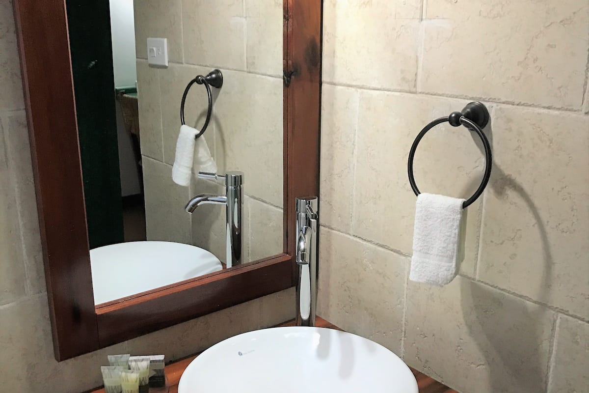 standard queen room economy- robusta ii | bathroom | shower, rainfall showerhead, free toiletries, towels