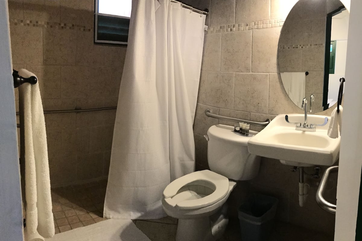 queen room - disability access - borbon | bathroom | shower, rainfall showerhead, free toiletries, towels
