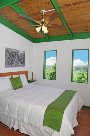 Vue sur les montagnes