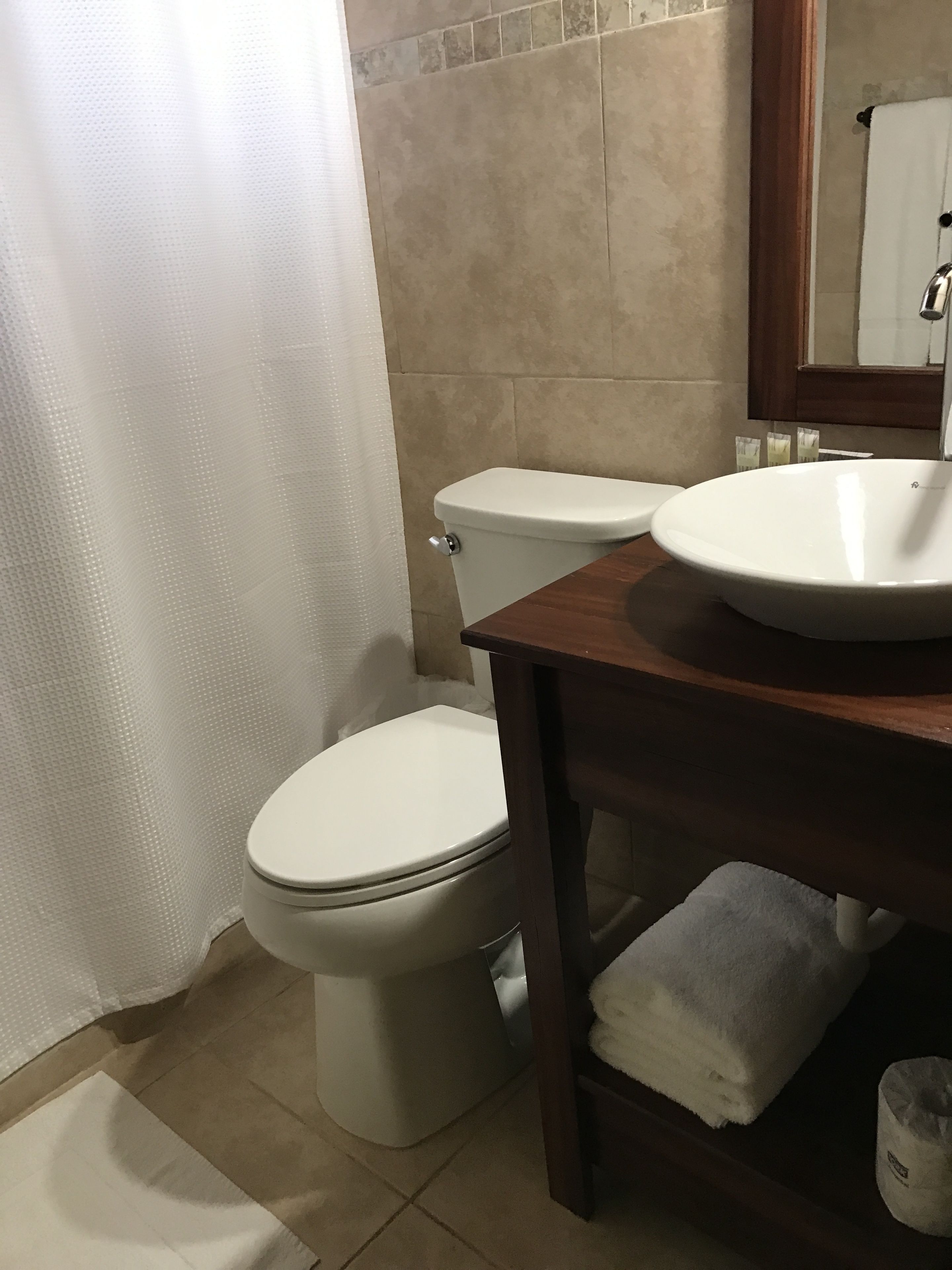 standard queen room- robusta | bathroom | shower, rainfall showerhead, free toiletries, towels