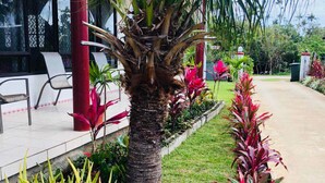 Un jardín ajardinado con una palmera, plantas de follaje rojo y un camino de hormigón.