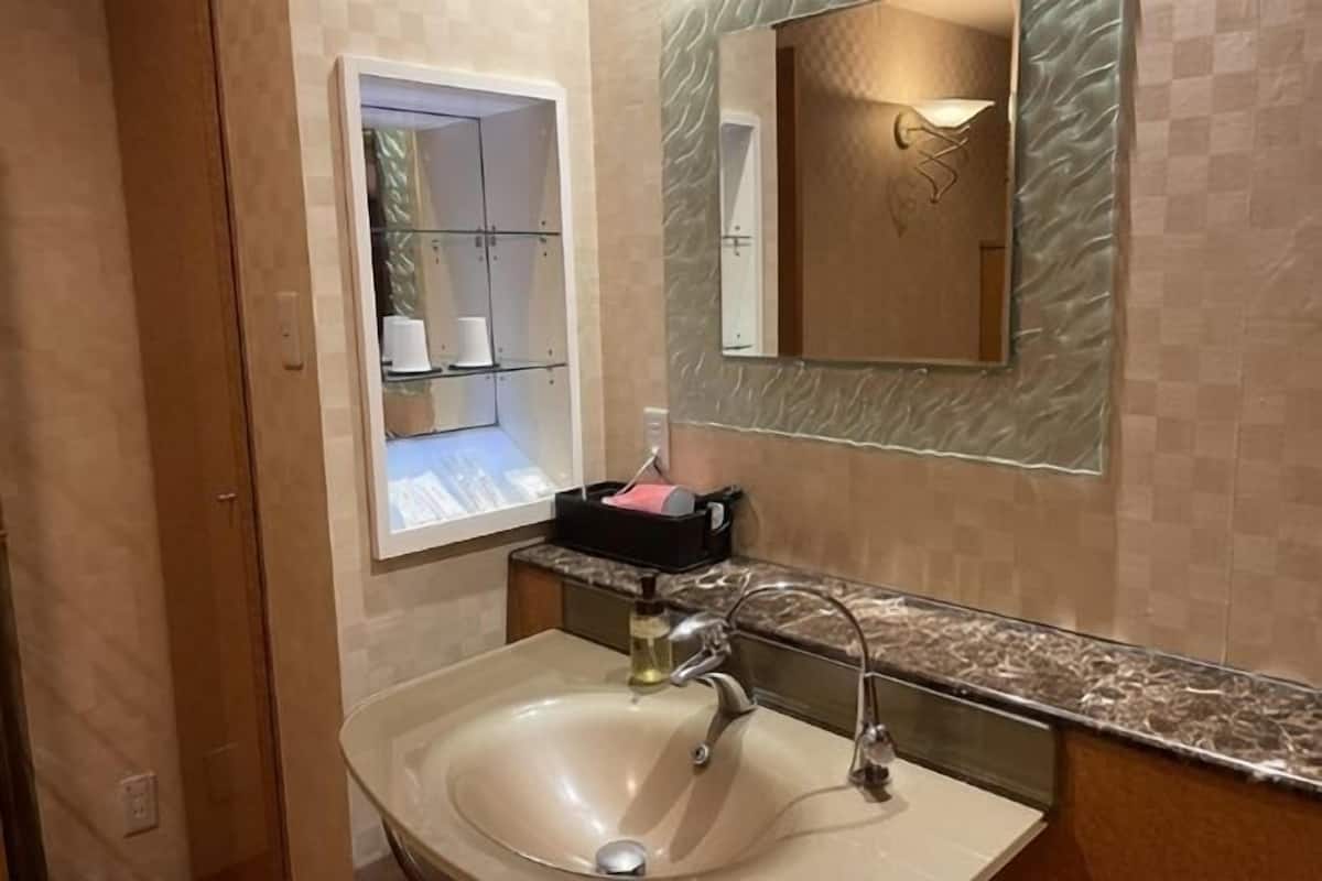 Separate bathtub and shower, jetted bath, free toiletries, hair dryer