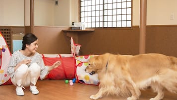 Pet-friendly amenities
