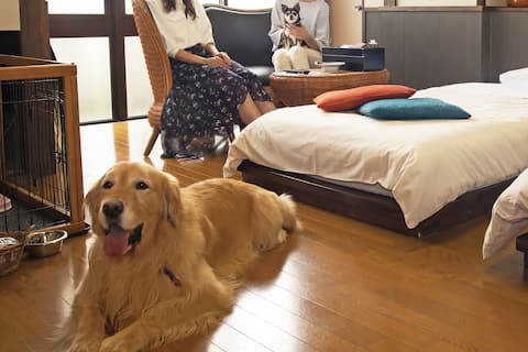 下呂温泉 紅葉館別館 わん泊亭(写真 2)