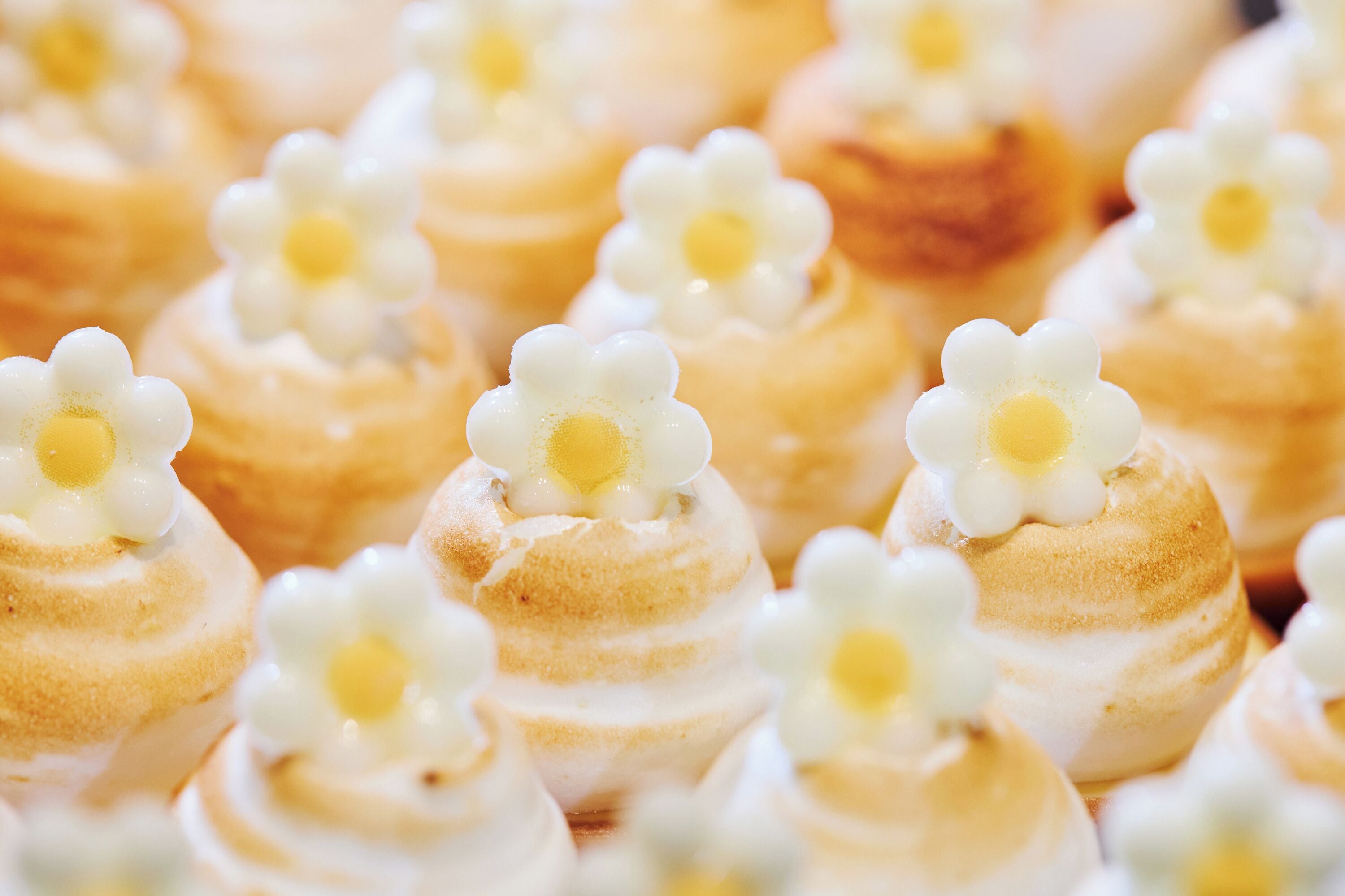 A close-up of a dessert with a flower-shaped topping.