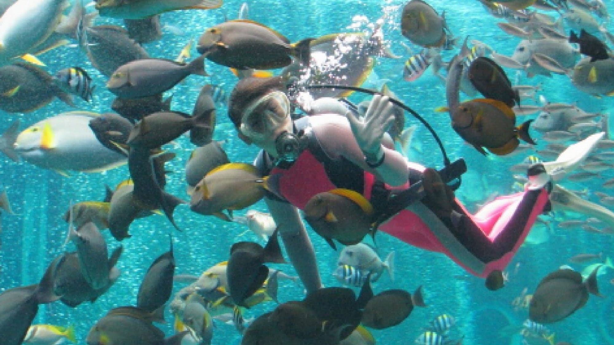 A diver surrounded by a large school of fish in clear water.