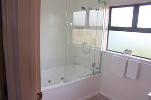 A glass-enclosed shower with a pull handle, a white bathtub, and a window with a view. - Kiwi Court Motel (Hawera)