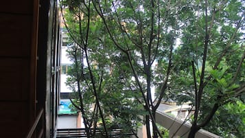 Vista desde la propiedad