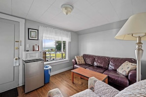Individually furnished, soundproofing, iron/ironing board, free WiFi - Grand View Resort (Laconia)