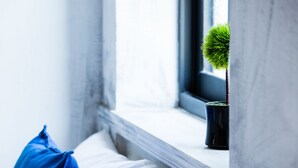 Un alféizar con una planta en maceta y una almohada azul.