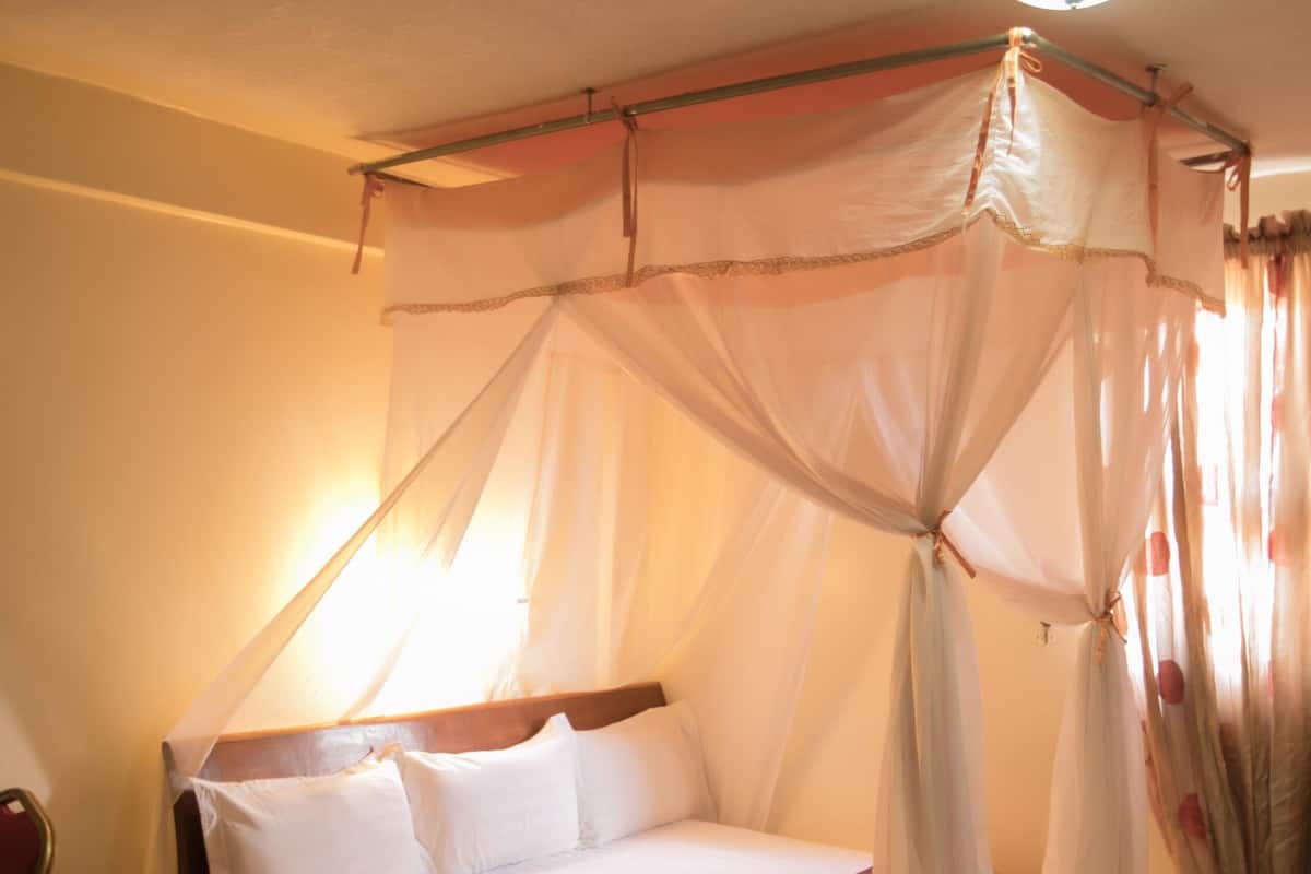 Bureau, rideaux occultants, chambres insonorisées