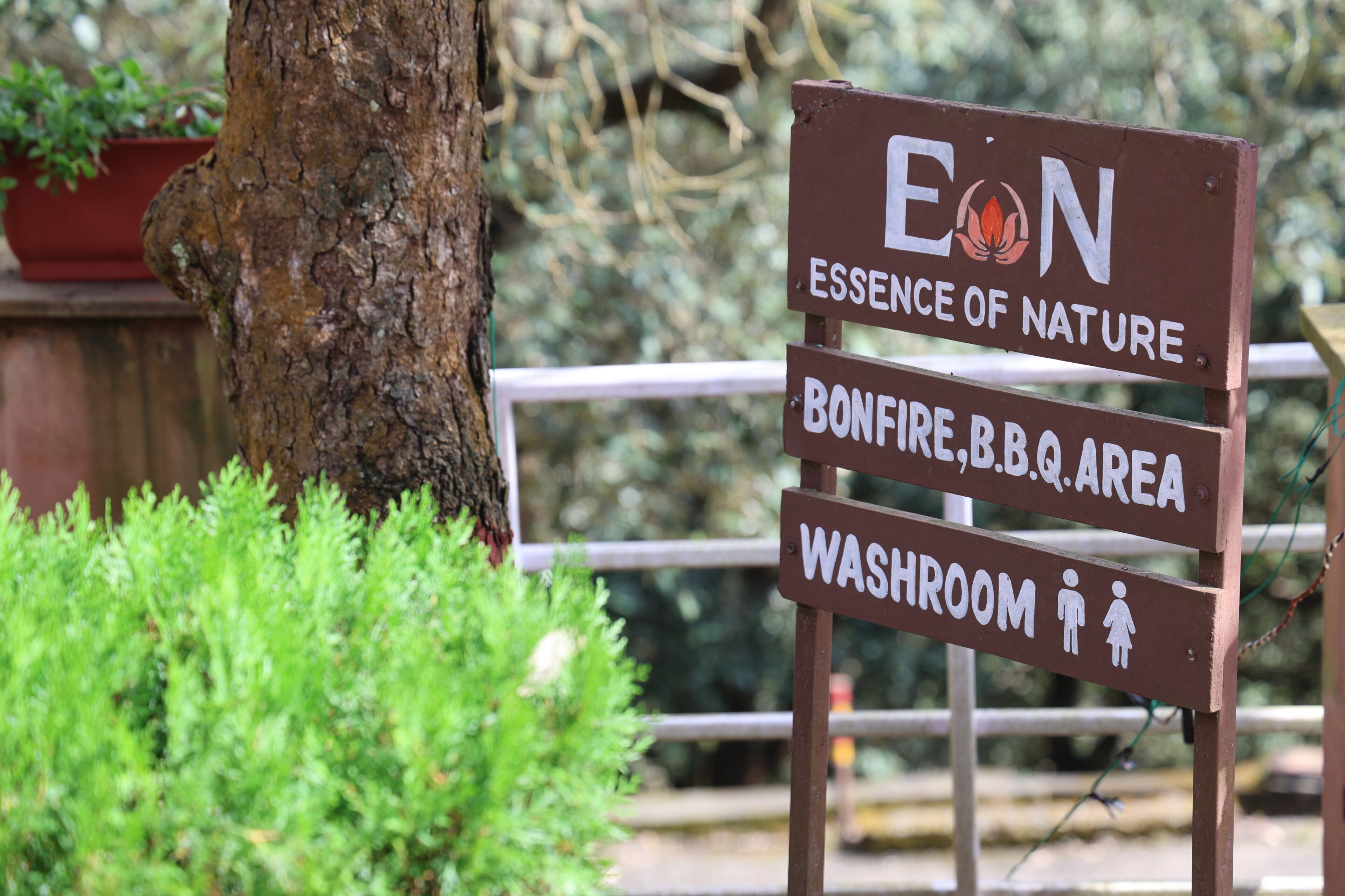 Un panneau indiquant l’emplacement d’un feu de camp, d’un espace barbecue et de toilettes.