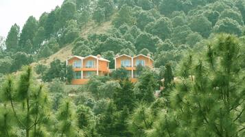 Dos casas anaranjadas en una ladera, con árboles verdes y frondosos al frente.