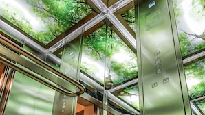 An elevator with metallic walls and a ceiling that has a tree canopy design. - Venis Boutique Residence (Bucharest)