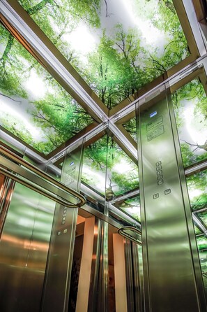 L’intérieur d’un ascenseur aux parois et au plafond métalliques, agrémenté d’un motif représentant la cime d’un arbre vert.