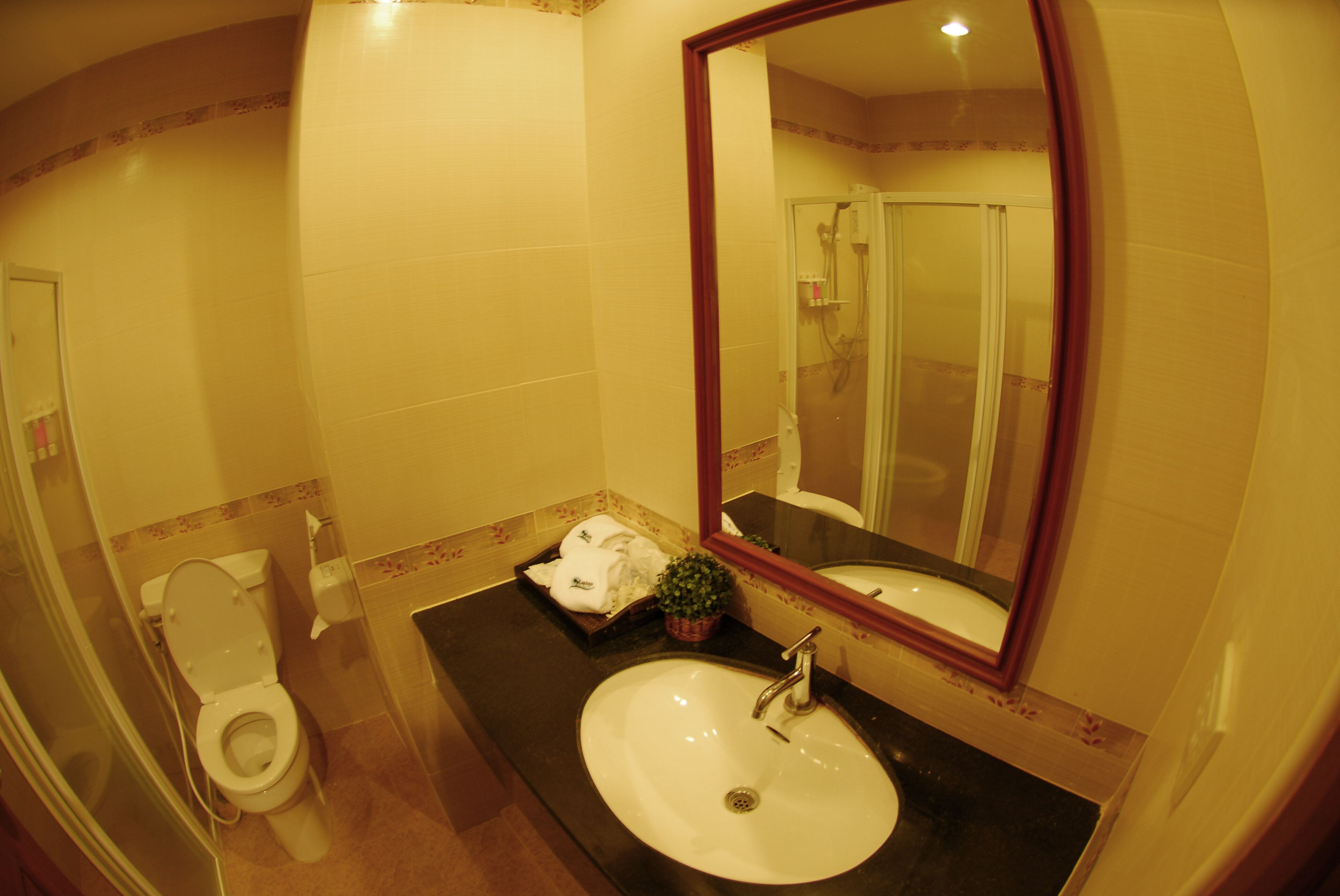 deluxe double room | bathroom | free toiletries, hair dryer, towels