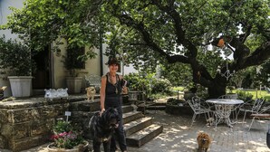 A courtyard with a stone bench, a metal table and chairs, and a large tree providing shade. - The Green Acorn Guest House (Setsoto)