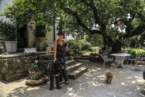 Enceinte de l’hébergement