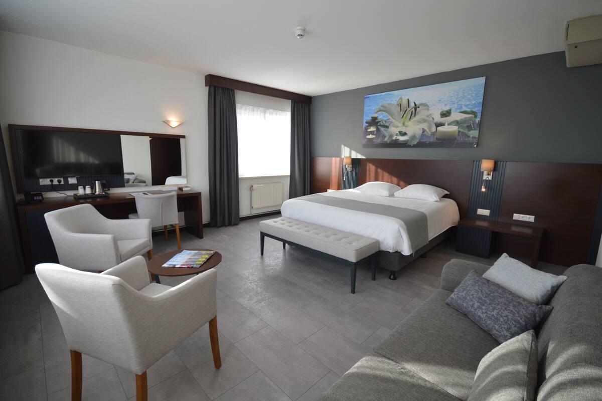 A hotel room with a bed, a desk, a chair, a sofa, and a large mirror.