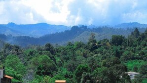 A view of a mountainous landscape with dense greenery and a few buildings. - Ella Bamboo Cabana (Ella)