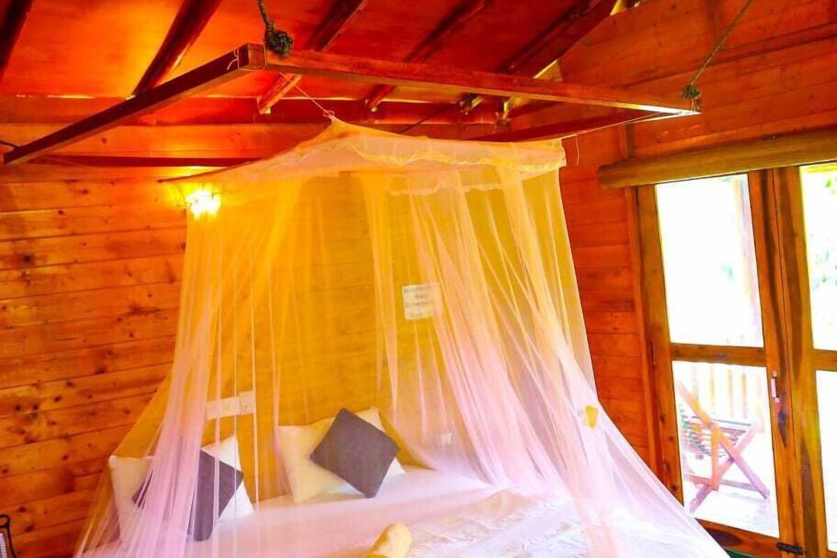 Una habitación de cabaña de madera con una cama bajo una mosquitera, un ventilador de techo y una ventana.