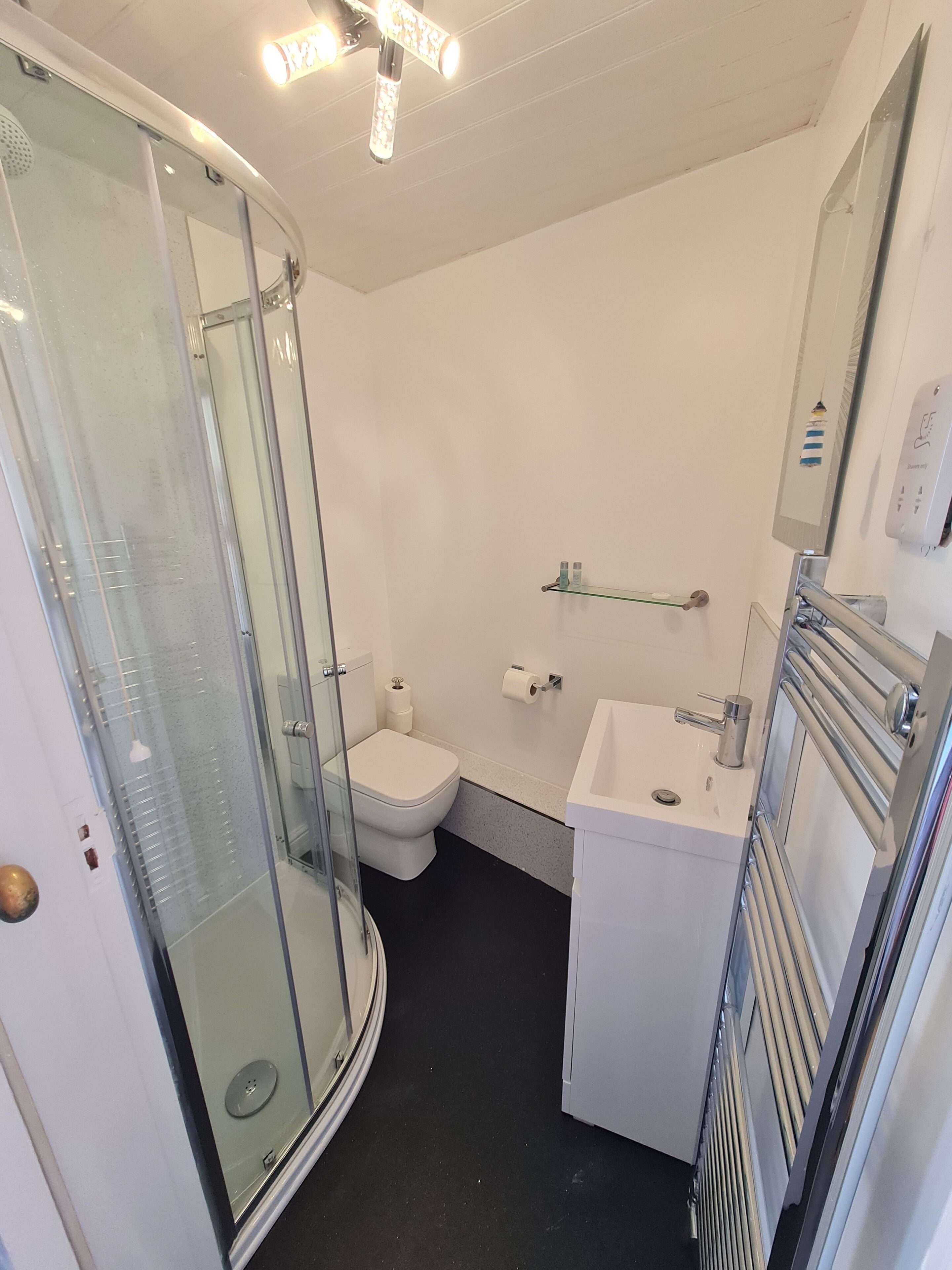 A modern bathroom with a glass shower enclosure, a toilet, a sink, and a mirror.