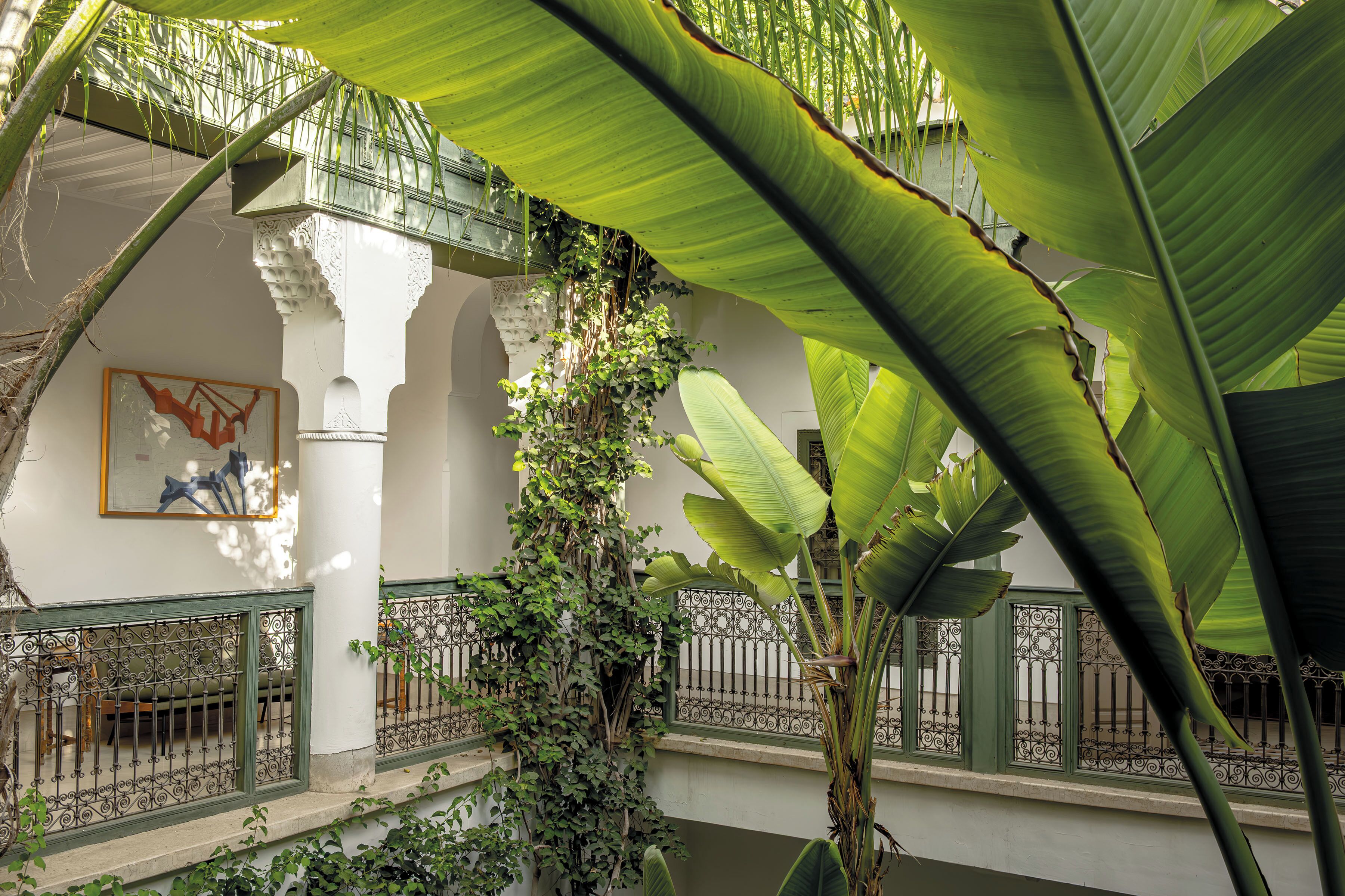 Deluxe-Doppel- oder -Zweibettzimmer | Terrasse/Patio