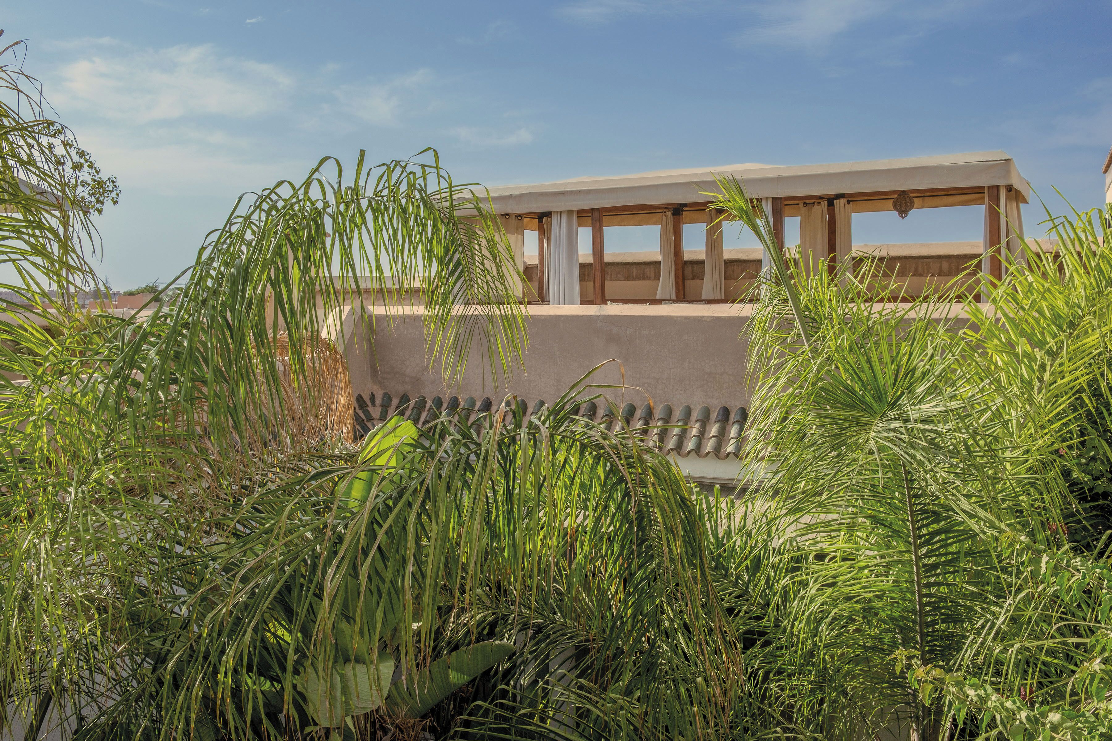 Foto - Riad Jaaneman