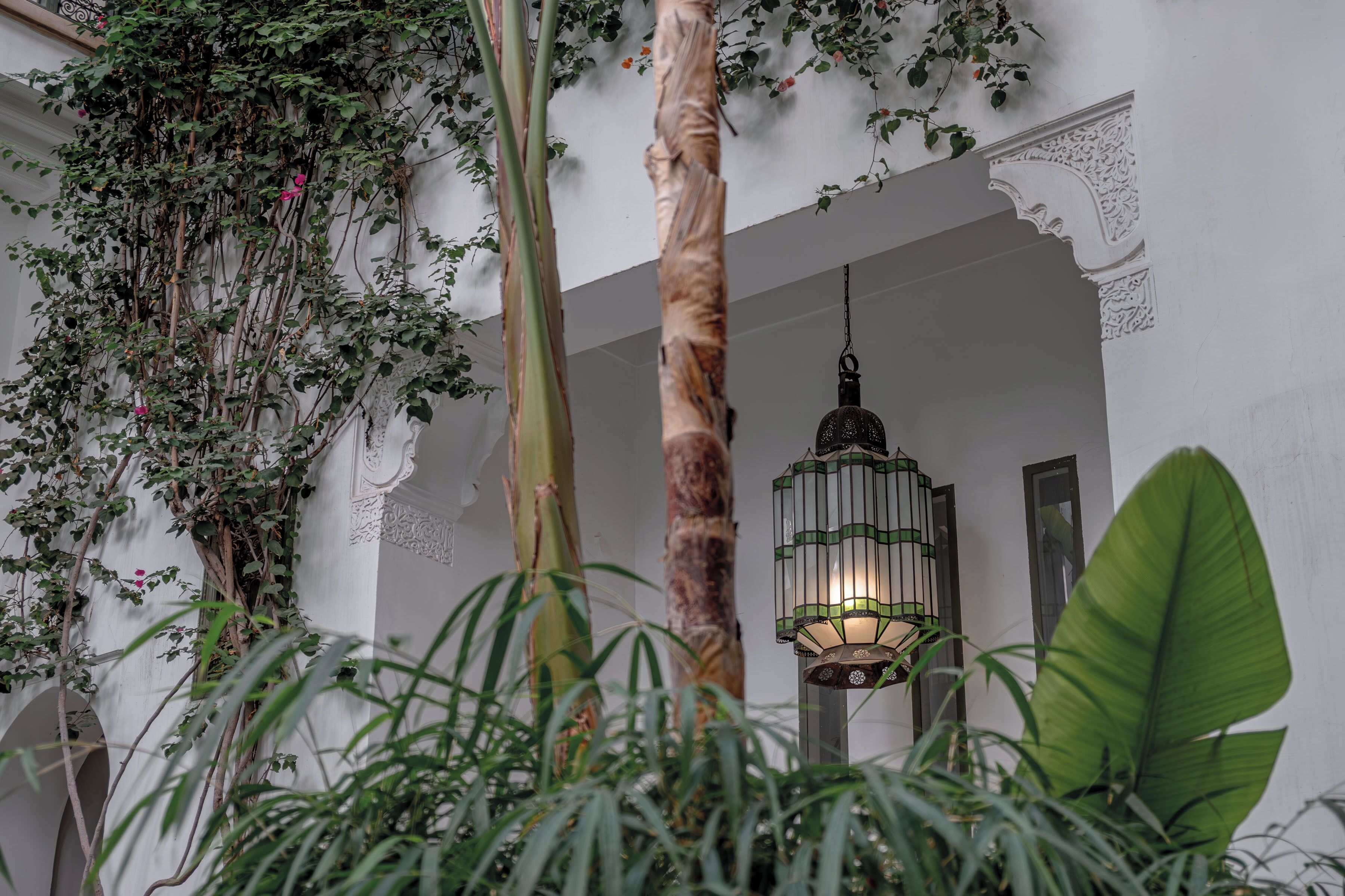 Foto - Riad Jaaneman