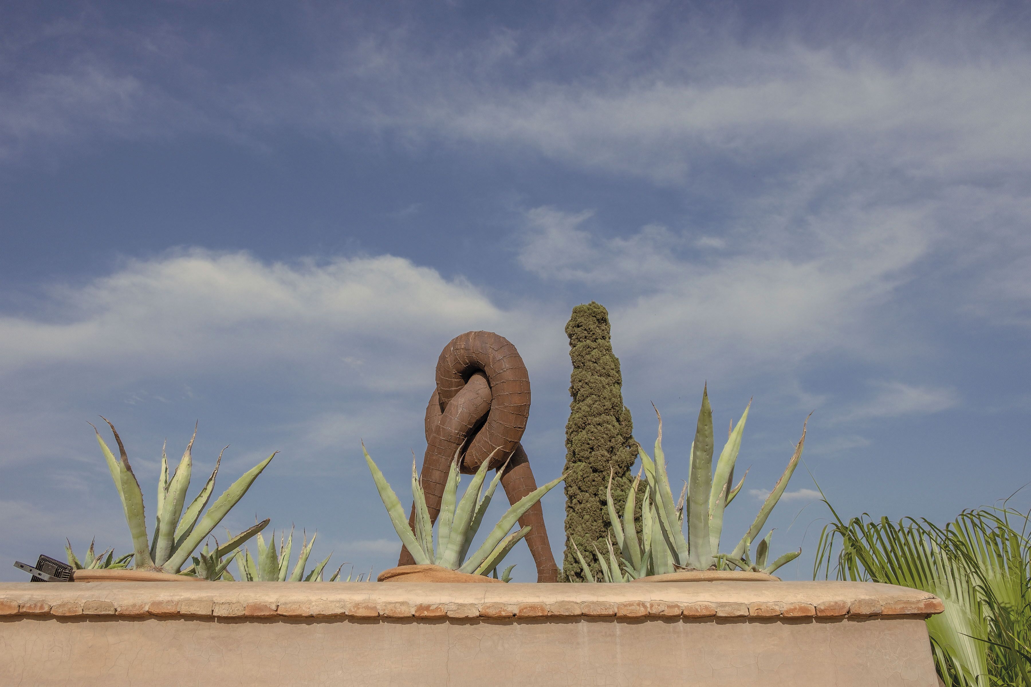 Foto - Riad Jaaneman