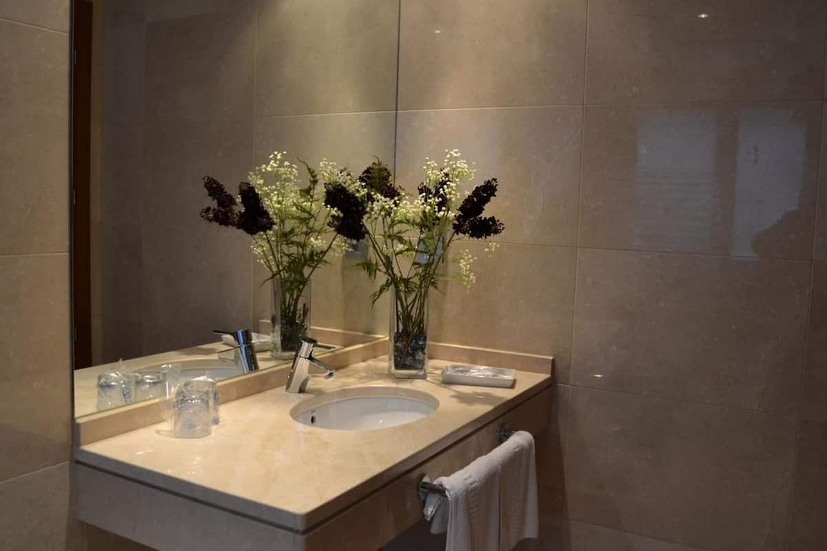 Free toiletries, hair dryer, towels
