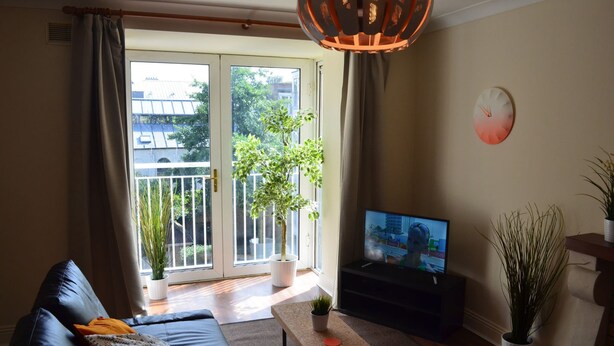Una sala de estar con sofá, televisor y una planta en maceta.