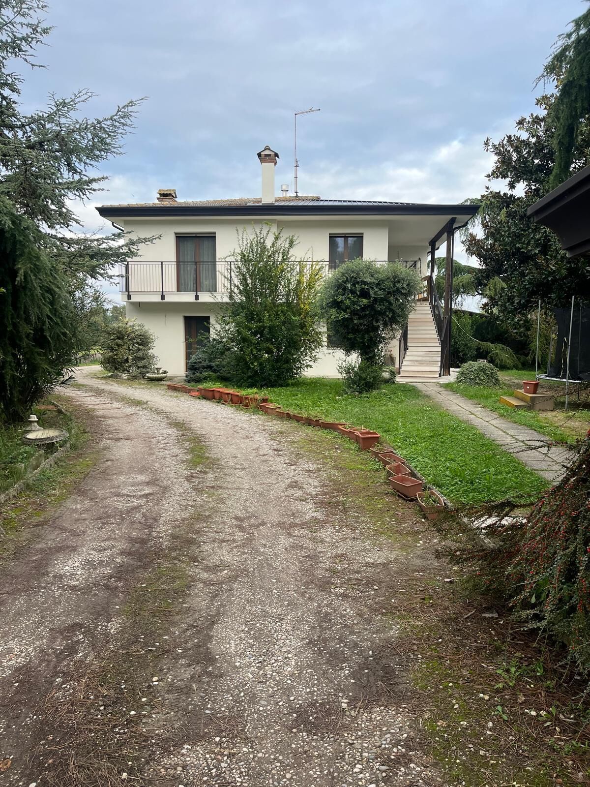 Foto - B&B Airport Venice Diego