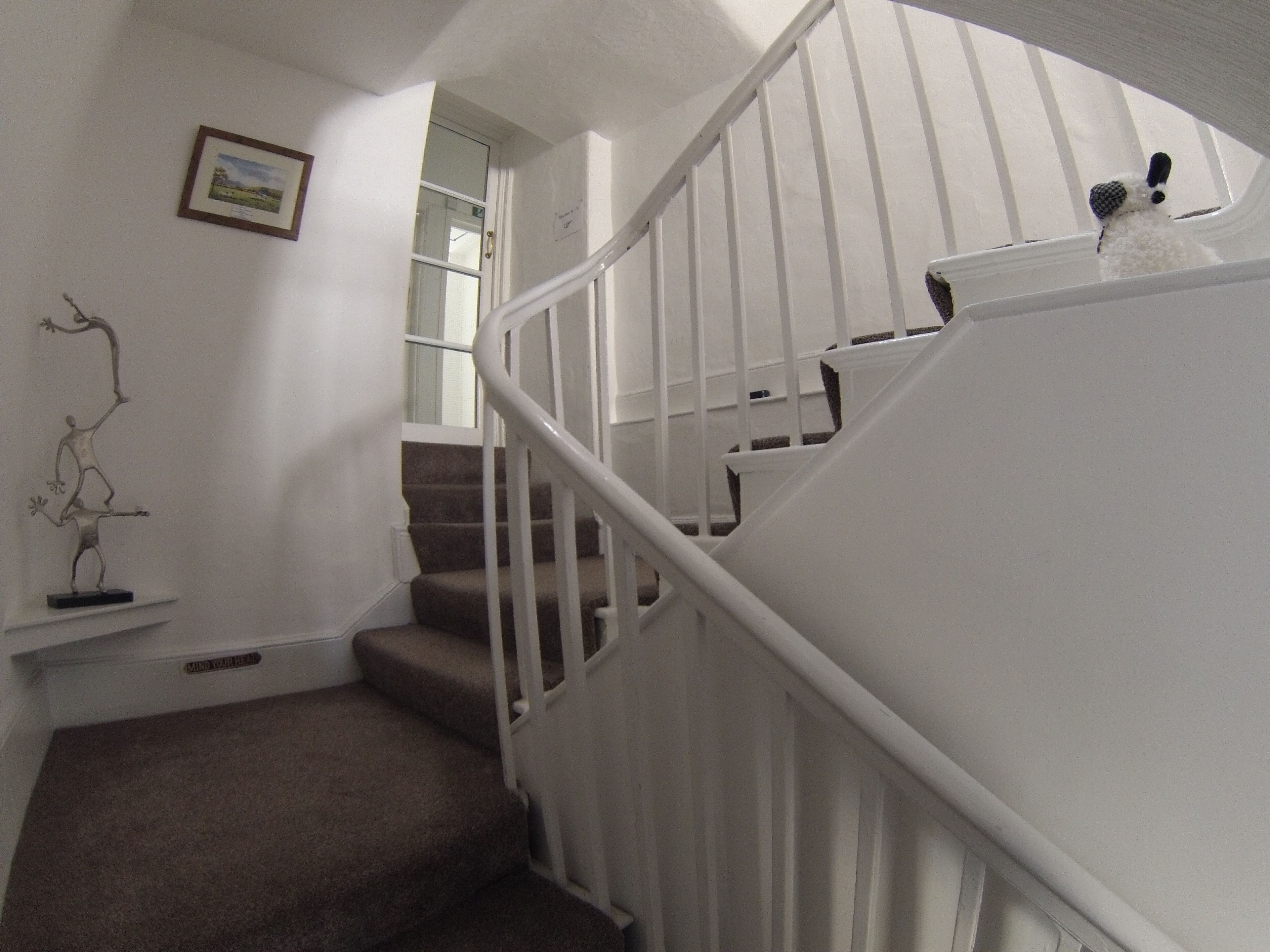 Un escalier avec des rampes blanches et une plateforme recouverte de moquette.