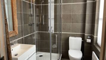A modern bathroom with a glass-enclosed shower, a toilet, and a sink.