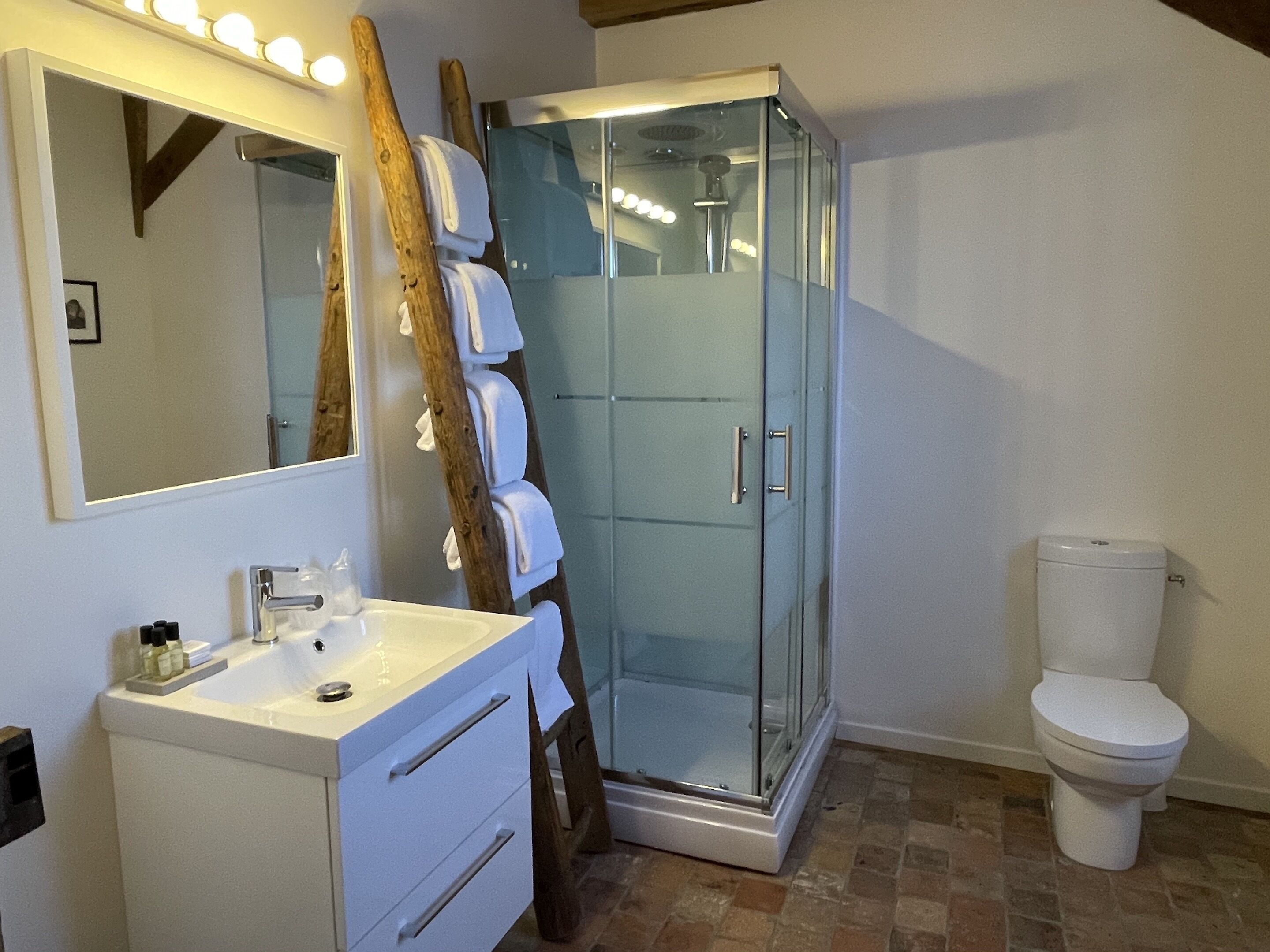 A bathroom with a glass shower enclosure, a white sink with toiletries, and a toilet.