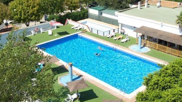 Vista aérea de una piscina rodeada de vegetación y un edificio con techo plano.