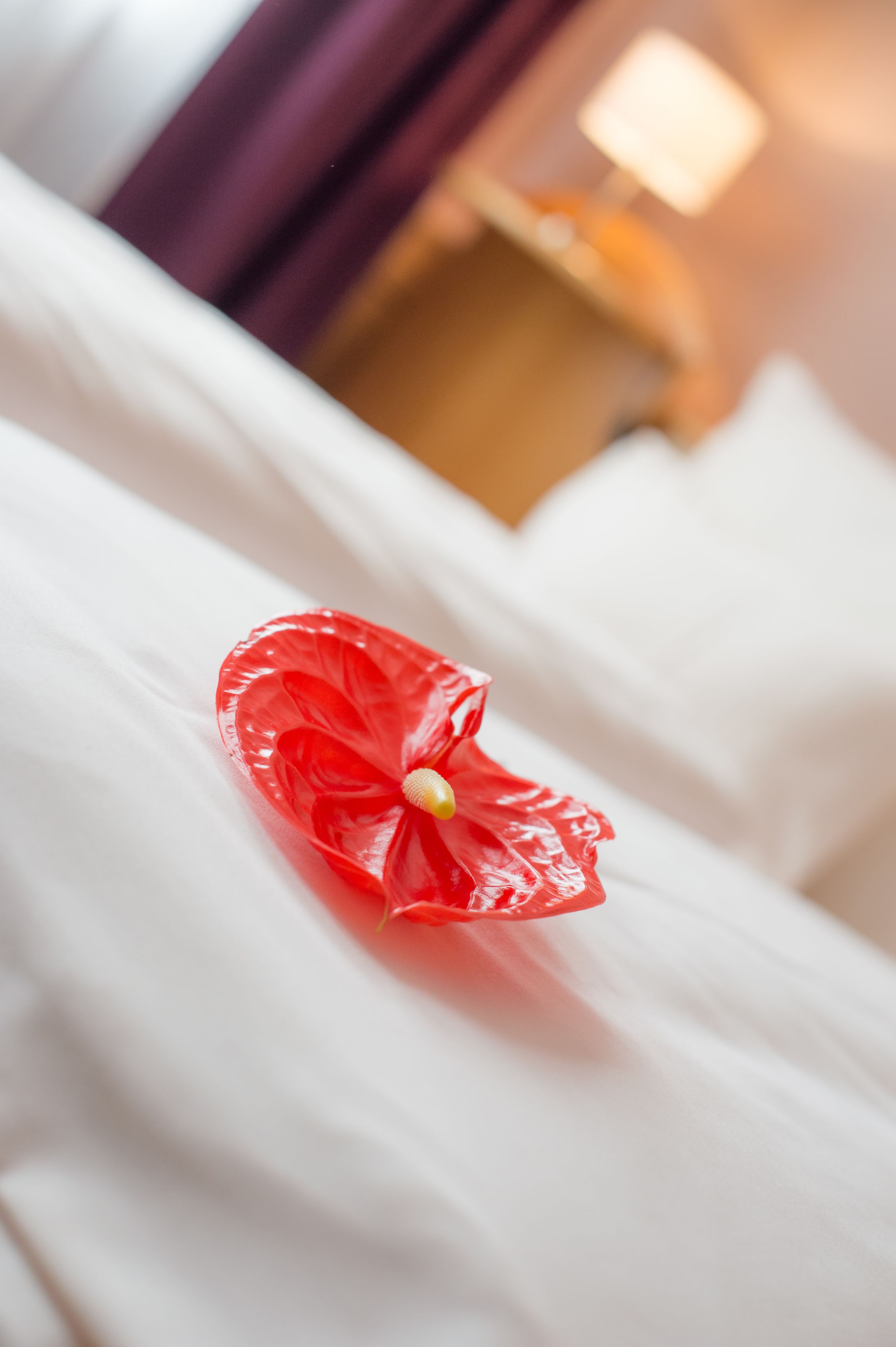 standard double room | 1 bedroom, in-room safe, individually decorated, individually furnished