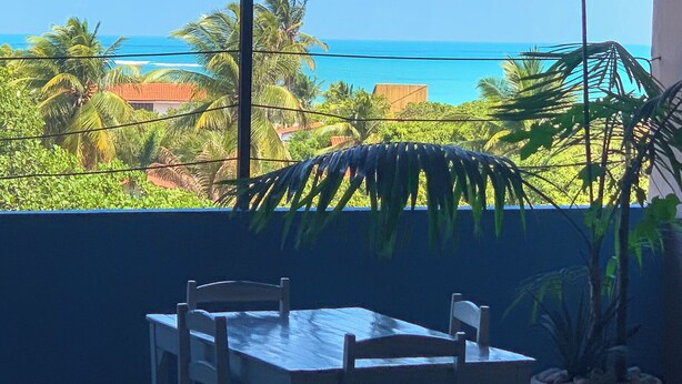 A room with a large window offering a view of the ocean and palm trees.