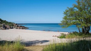 Une plage avec une eau d’un bleu limpide, un rivage sablonneux et un arbre sur la droite.