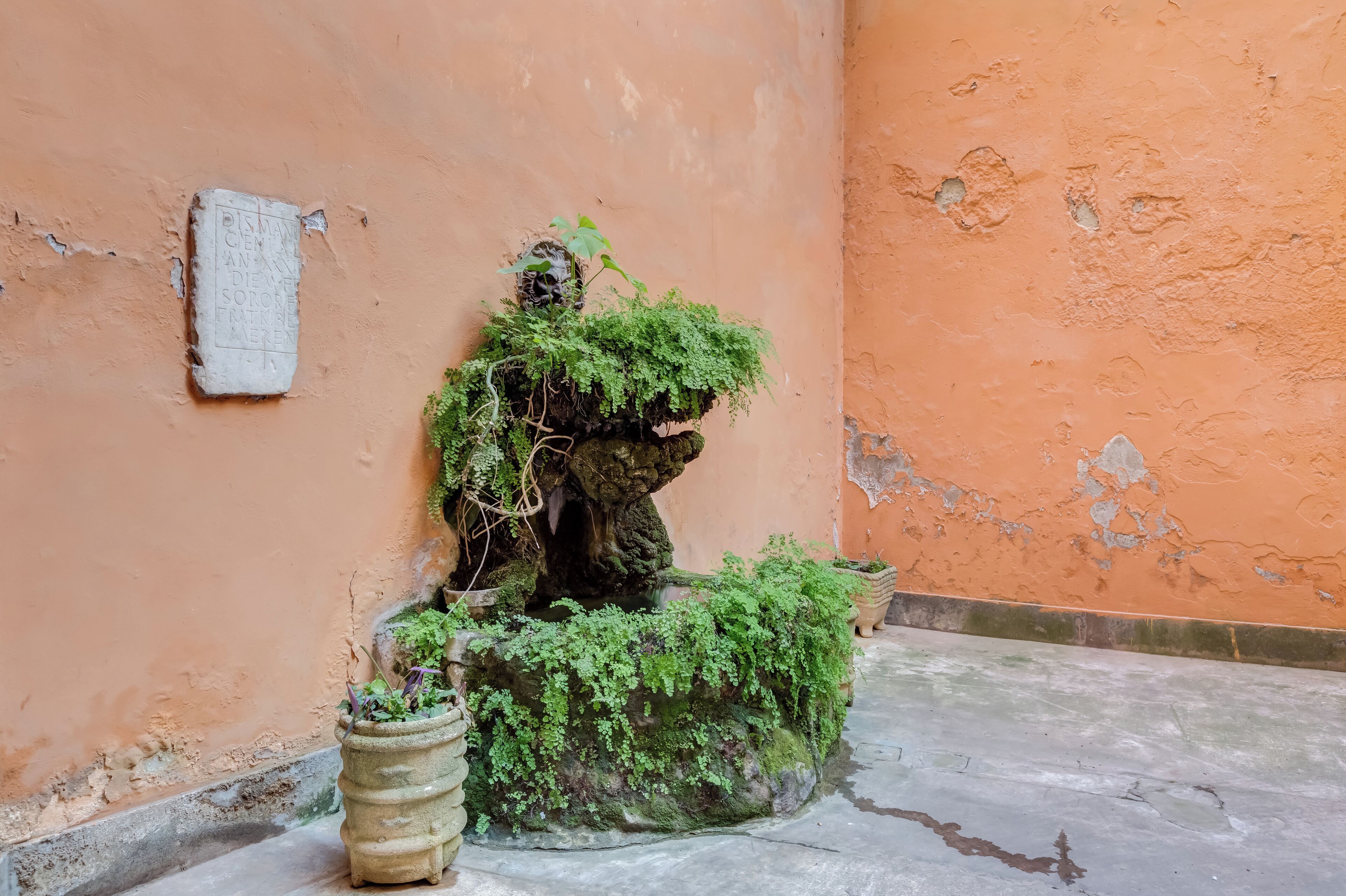 Photo - Maison Degli Artisti Suites