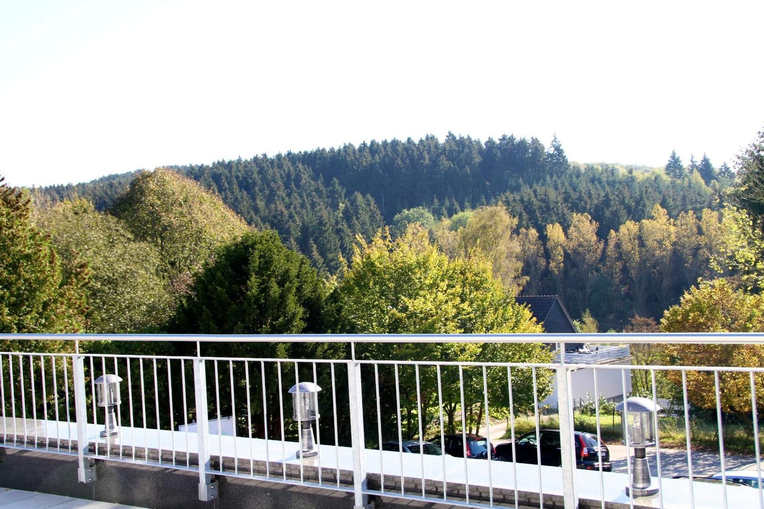 A balcony with a railing and a view of a forested hillside.