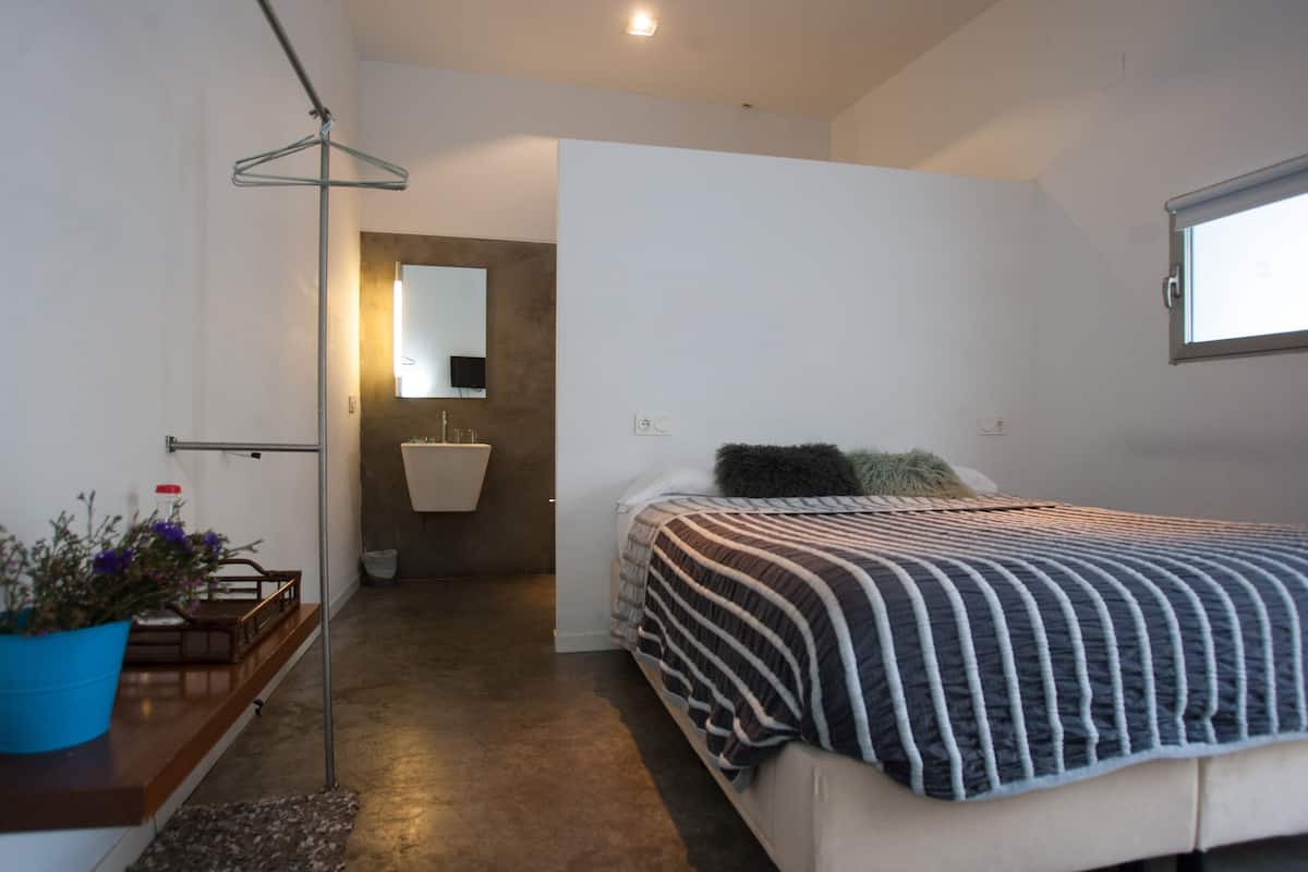 Une chambre avec un lit, une lampe suspendue, une plante en pot et une vue sur la salle de bain.
