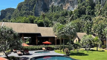 55-inch flat-screen TV with satellite channels, TV