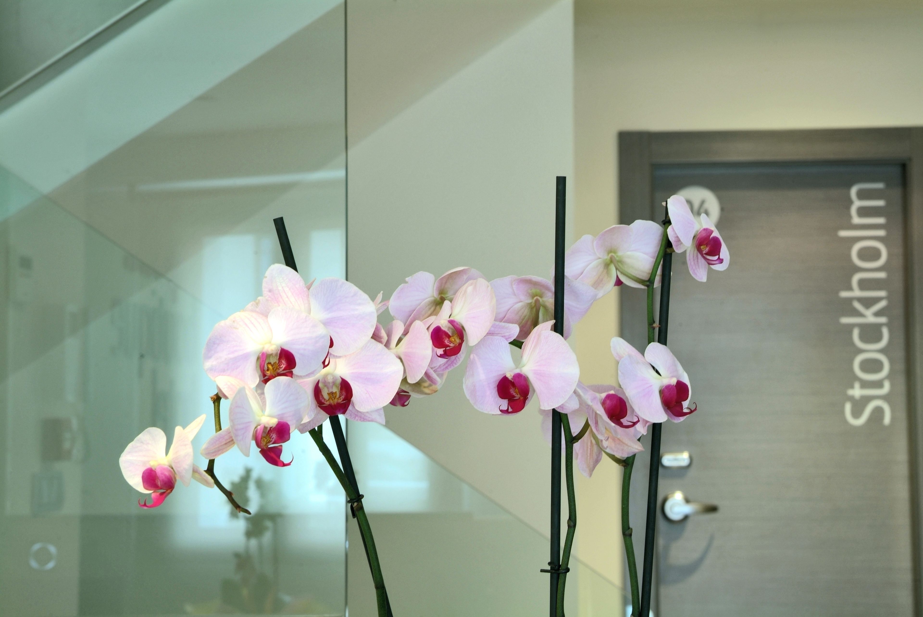 Foto - Le Petit Boutique Hotel