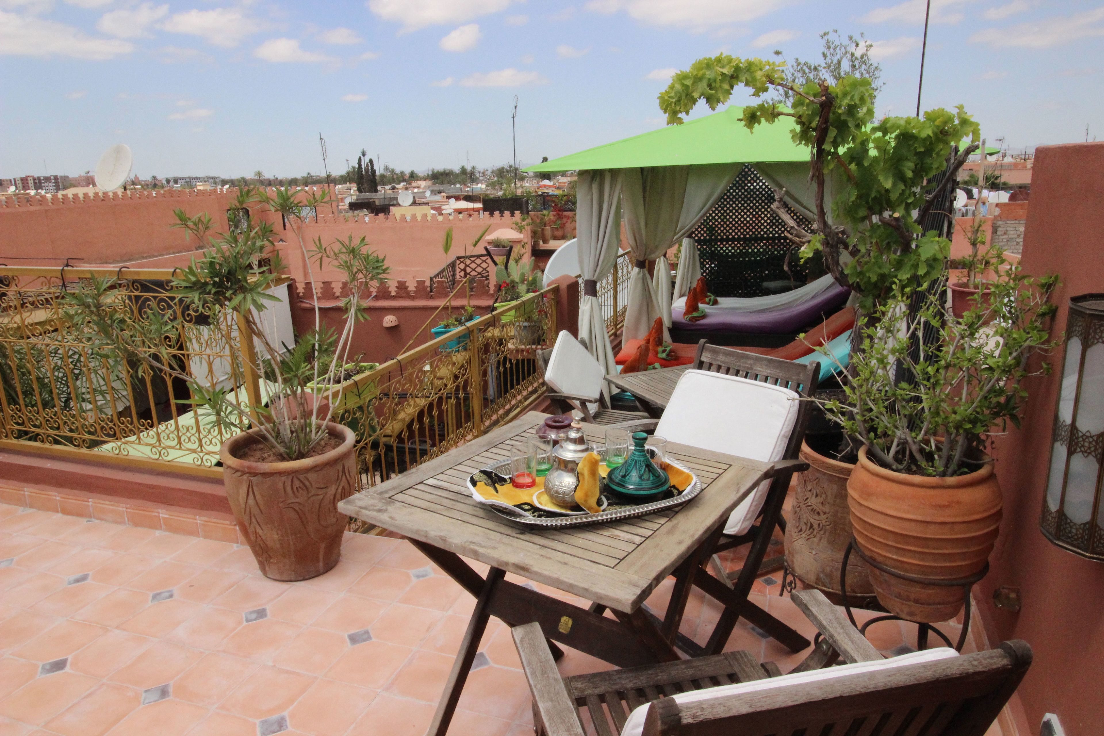 Una terraza con mesa lista para comer, plantas en macetas y una hamaca.