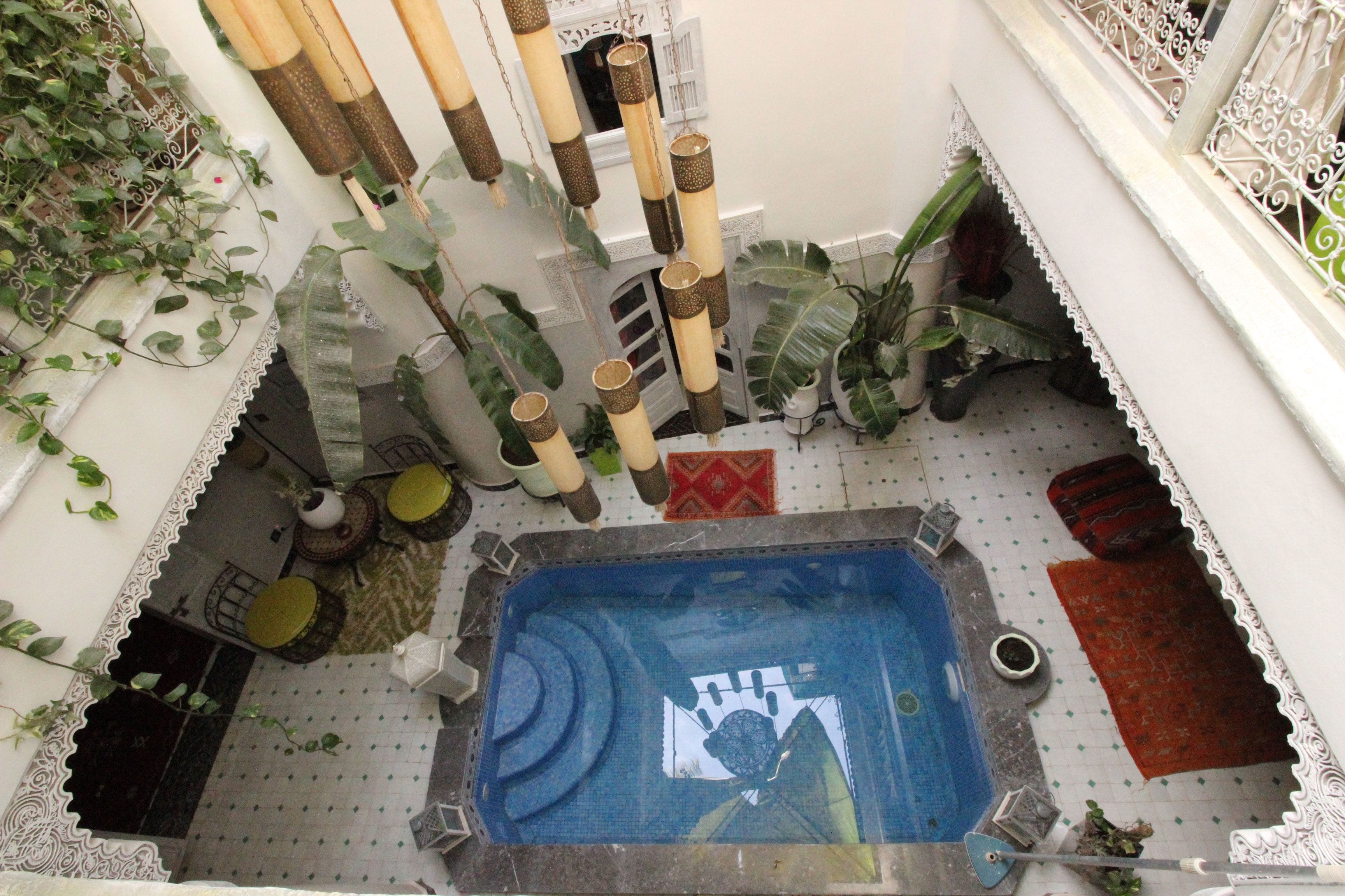 A rooftop pool with a blue mosaic design, surrounded by potted plants and decorative items.