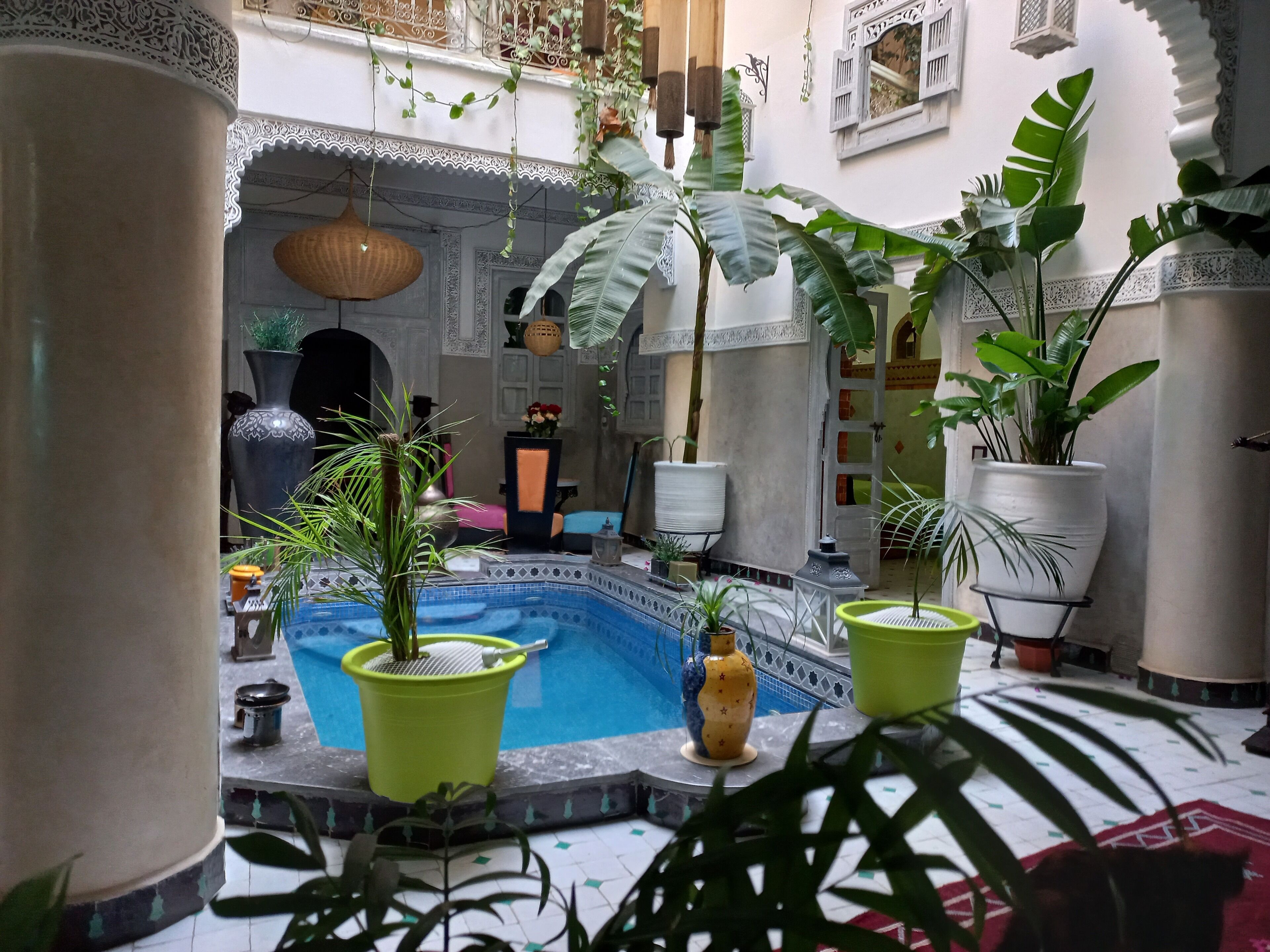 A traditional Moroccan interior with a pool, potted plants, and ornate decor.