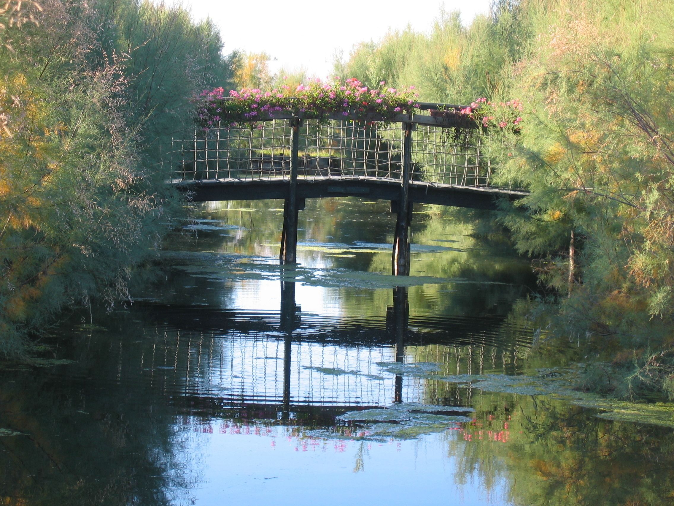 Foto - Agriturismo La Barena